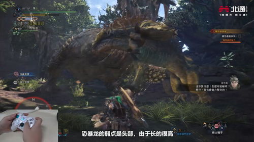 《荒野怪物猎人》护凶爪龙虫棍新样式路线攻略速览