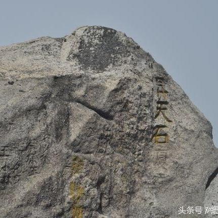 《逍遥情缘》祈愿树:揭秘你的愿望,惊喜连连！