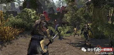 《上古卷轴OL》家园更新PS4/XBOX ONE，独家揭秘！