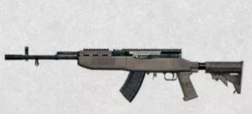 《绝地求生》Mini14评测：枪王之选，实战解析！