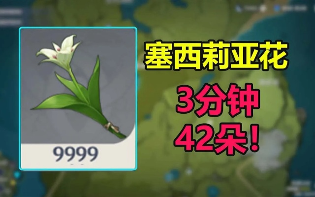 塞西莉亚花攻略：3.1版本高效收集路线揭秘