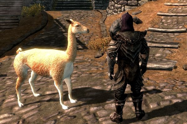 《上古卷轴5》打造专属动物随从，轻松入门教程攻略！