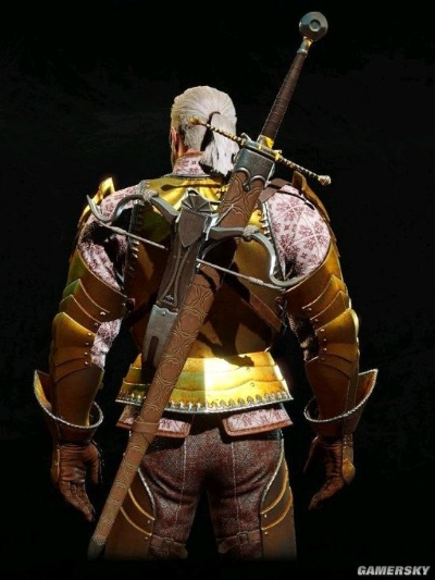 巫师3全师匠套装属性揭秘：独家外观图鉴+实用攻略