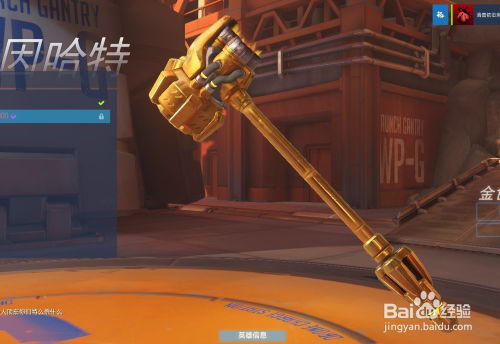 《守望先锋》金武器获取攻略：揭秘高效获得金武器的秘密技巧