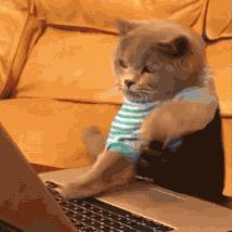 《BrokenPieces》攻略大全：成就解锁+全流程解析，深度攻略秘籍一网打尽