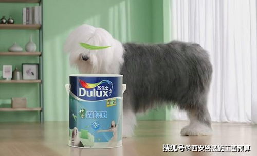 《太吾绘卷》新手村快速通关攻略,轻松掌握速通技巧! 《太吾绘卷》新手村快速通关攻略,轻松掌握速通技巧!