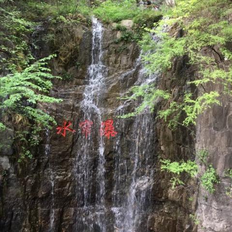 《动物井》解谜攻略：揭秘隐藏关卡，解锁神秘世界