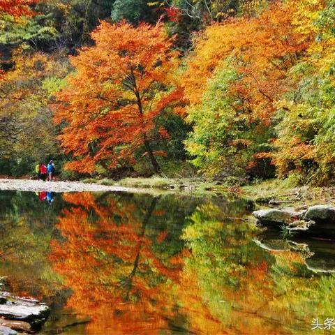 九寨沟保洁员十一黄金周遭骂，玩家热议！