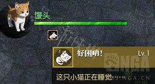 《逆水寒》养猫攻略:宠物系统详解与猫咪获取技巧 《逆水寒》养猫攻略:宠物系统详解与猫咪获取技巧