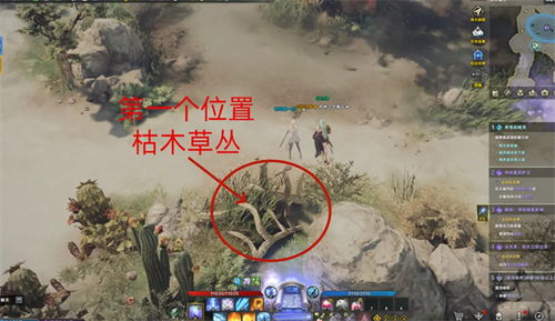 《命运方舟》独家揭秘：轻松找到游戏自拍秘境