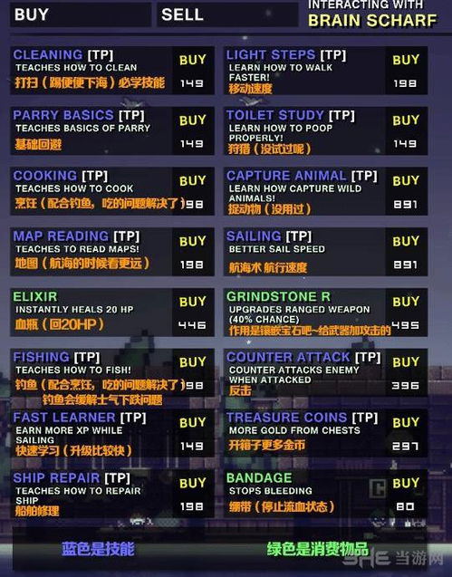 《像素海盗》独特玩法揭秘：揭秘正版与盗版差异！