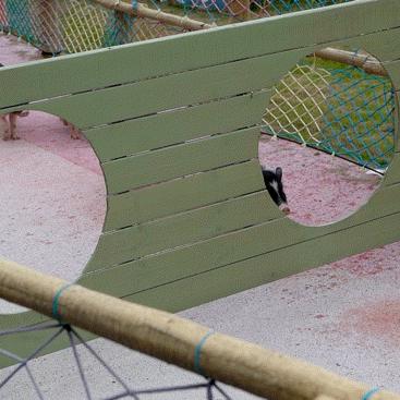 《炉石传说》跳水猪猪卡组攻略:实战制胜秘籍! 《炉石传说》跳水猪猪卡组攻略:实战制胜秘籍!