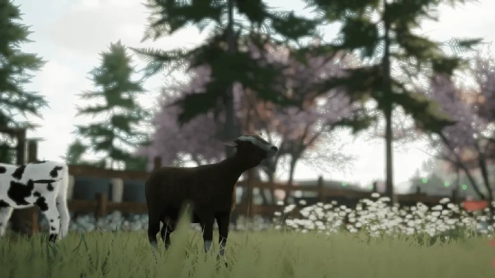 《风和日暖》预告曝光：沉浸式乡村农场生活模拟体验