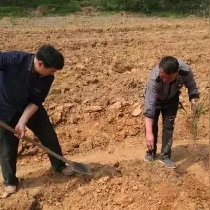 《荒野大镖客:救赎》PC版配置曝光!GTX 960轻松驾驭! 《荒野大镖客:救赎》PC版配置曝光!GTX 960轻松驾驭!