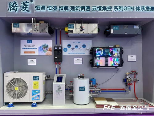 《F-zero 99》新赛道模式来袭！独家揭秘！