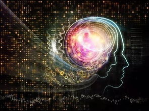 《人类分裂》攻略：轻松攻略人妻情报达人！