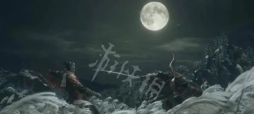 《只狼》操作攻略：掌握战斗技巧，解锁完美操作！