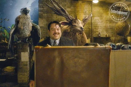 《巫师3》绝美截图揭秘！艺术画赏心悦目，独家首曝！