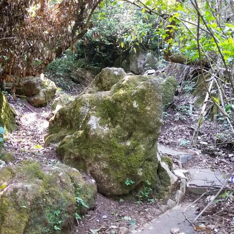 《我的世界1.12新内容揭秘：探索无限更新亮点》