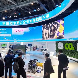 《羊了个羊》11月16日通关秘籍！独家攻略助你一臂之力