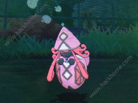 《口袋妖怪日月》高效刷级攻略+5星厨房独门秘籍大揭秘