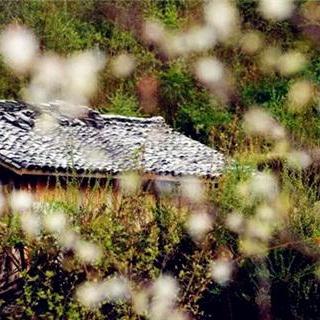 《记忆边境》传说位置揭秘：高效收集攻略全解析