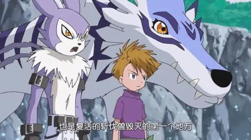 《阿卡迪亚兄妹挑战》超越《皇家骑士团》新篇章 《阿卡迪亚兄妹挑战》超越《皇家骑士团》新篇章