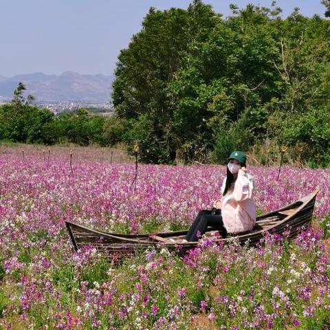 《最终幻想迷宫全隐藏宝藏揭秘》