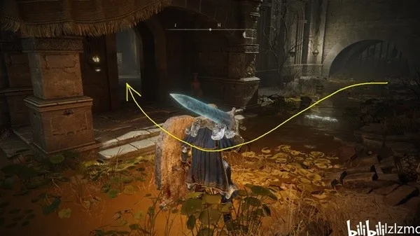 《艾尔登法环》黄金树之影DLC：贝瑞特塔攻略秘籍大揭秘