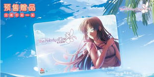 《虹色旋律》独家揭秘：游戏模式深度解析