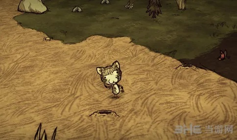 《饥荒》三猫MOD生存攻略：流浪猫玩法全解析