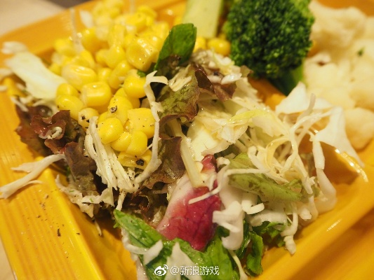 世嘉总部美食测评：玩家热议新总部食堂8.7分！