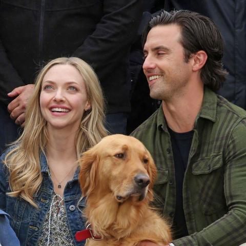 连姆·尼森告别动作片江湖：73岁传奇谢幕