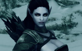 《上古卷轴5》美景与美人，谁才是你的心头好？