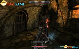 《上古卷轴4》灰王子支线攻略：解锁灰王子身世之谜