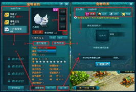 《熊猫人幻境新生速成攻略：高效升级秘籍》