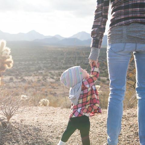 《末日等待》厨房管理新篇章：简中版Steam上线，生存挑战开启！