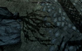 上古卷轴4RE性能要求高,5090显卡挑战大 上古卷轴4RE性能要求高,5090显卡挑战大