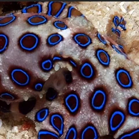 《致命解药》一命速通攻略:高效技巧全解析 《致命解药》一命速通攻略:高效技巧全解析