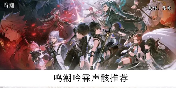 《鸣潮》吟霖武器搭配声骸攻略：打造强力配队