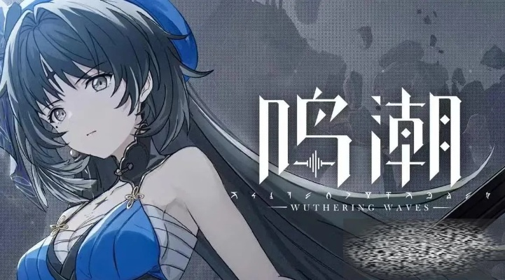 《鸣潮》五星声骸角色攻略：最强配队阵容揭秘