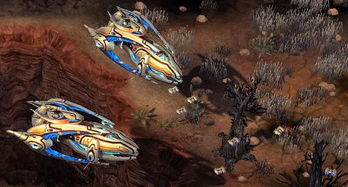 《王权自由全鱼类盘点：揭秘各大小鱼种出没地》