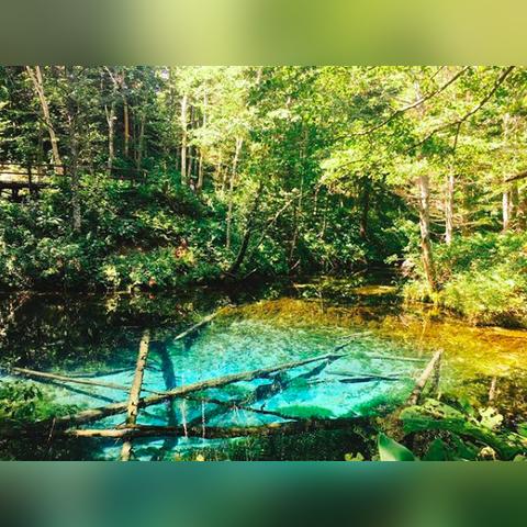 《杀手2》北海道雪地追击：冬季猎杀秘境挑战