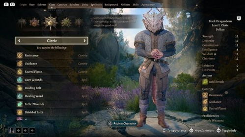 《博德之门3》一刀流圣武士攻略：高效输出秘籍大公开