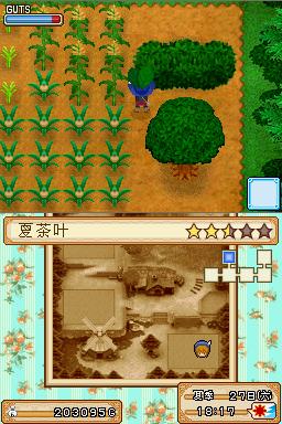 秋季作物盘点:《风之繁华集市》牧场物语秋季作物价格与生长周期攻略大全 秋季作物盘点:《风之繁华集市》牧场物语秋季作物价格与生长周期攻略大全