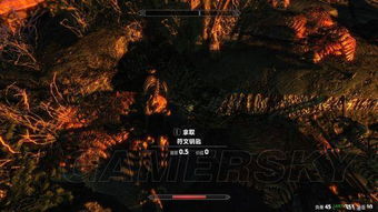 《上古卷轴5》Enderal高难度通关秘籍：揭秘绝境求生技巧攻略