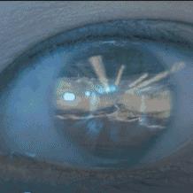 《窒息之爱》惊悚上线，揭秘真实事件背后的恐怖真相！