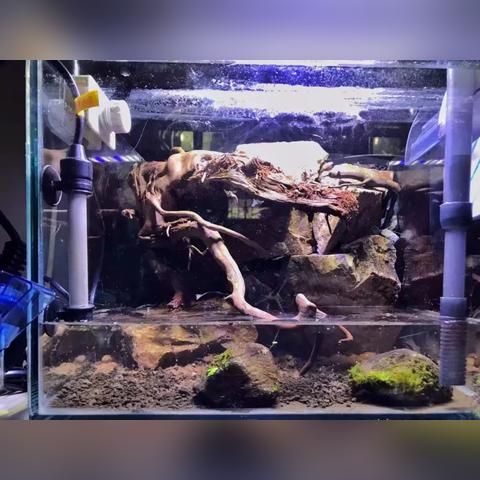 独家揭秘！《我的世界》1.13版海岛空岛刷石机攻略，轻松打造高效刷石利器