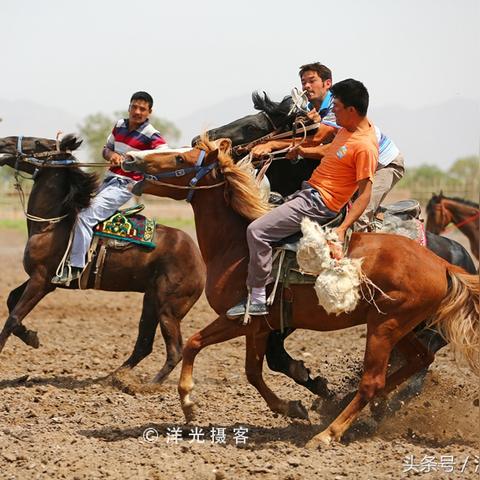 《羊了个羊》破解版下载,畅玩无限道具轻松通关秘籍! 《羊了个羊》破解版下载,畅玩无限道具轻松通关秘籍!