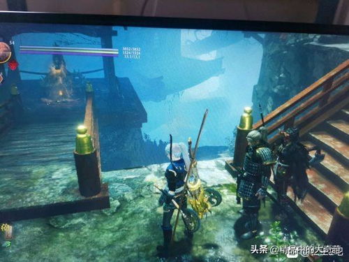 《仁王》新任务无伤攻略揭秘：1.06版高效通关技巧解析